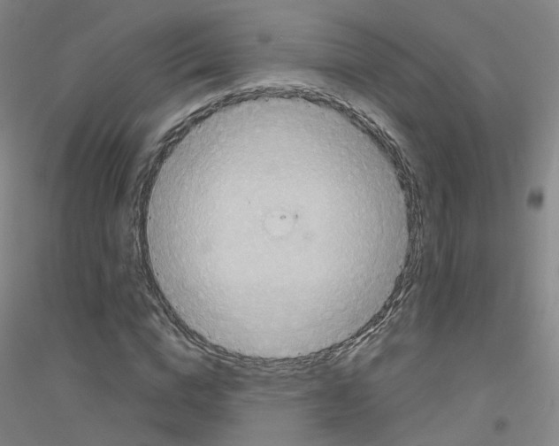 X0000116810824201001291559