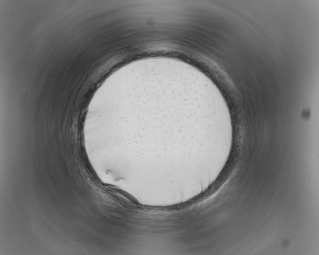 X0000116810825201001291559