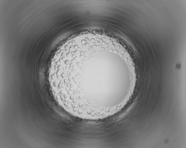 X0000116810826201001291559