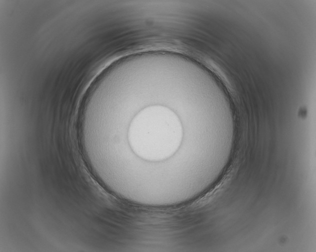 X0000116810828201001291559
