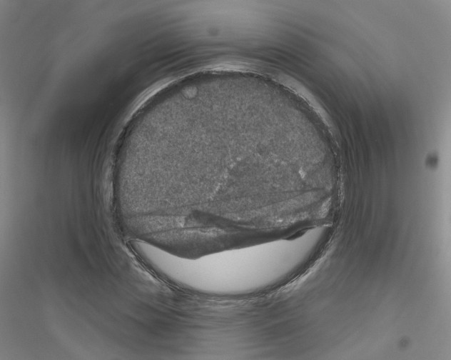 X0000116810829201001291559