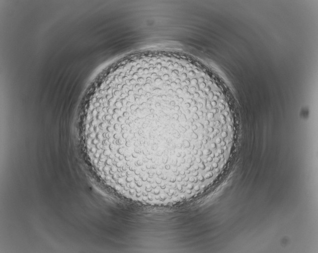 X0000116810830201001291559