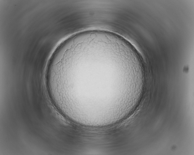 X0000116810832201001291559