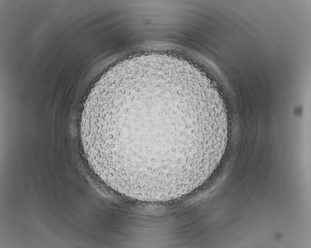 X0000116810833201001291559