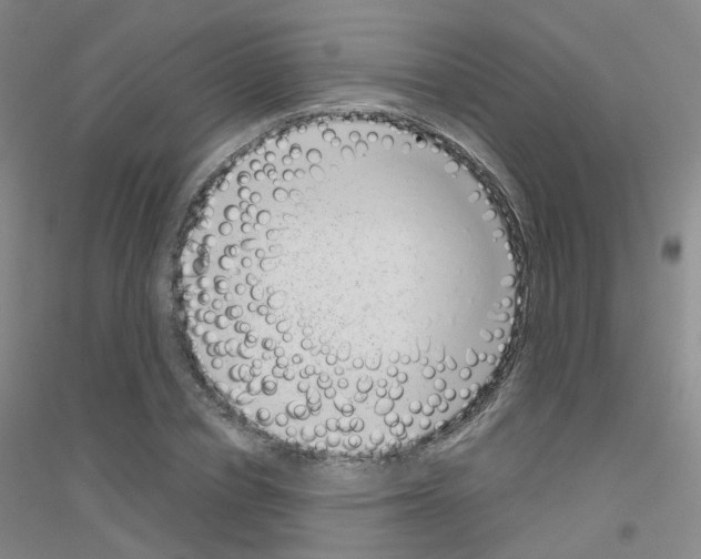 X0000116810834201001291559