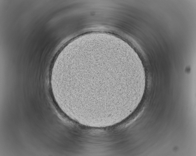 X0000116810837201001291559