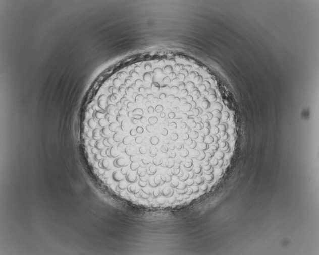 X0000116810838201001291559