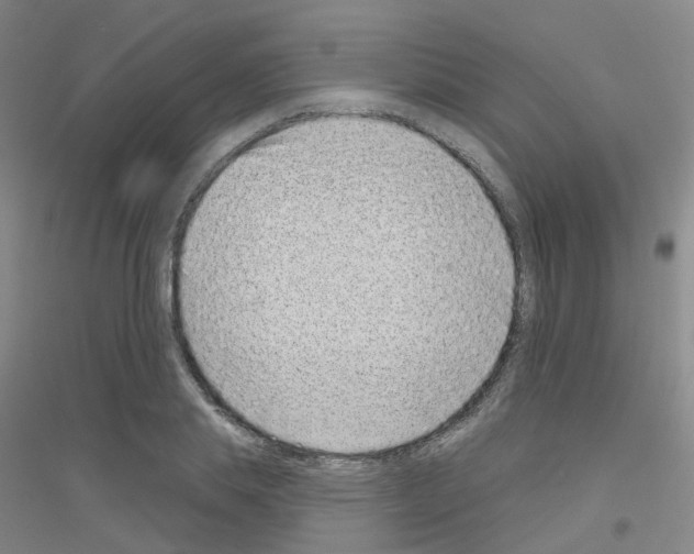 X0000116810839201001291559