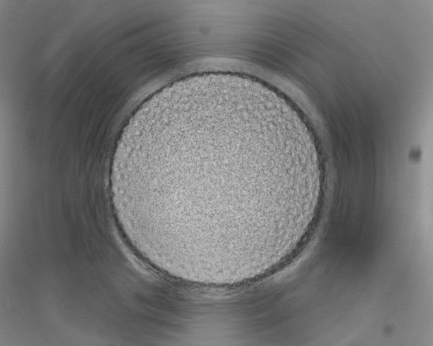 X0000116810841201001291559