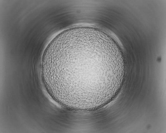 X0000116810844201001291559