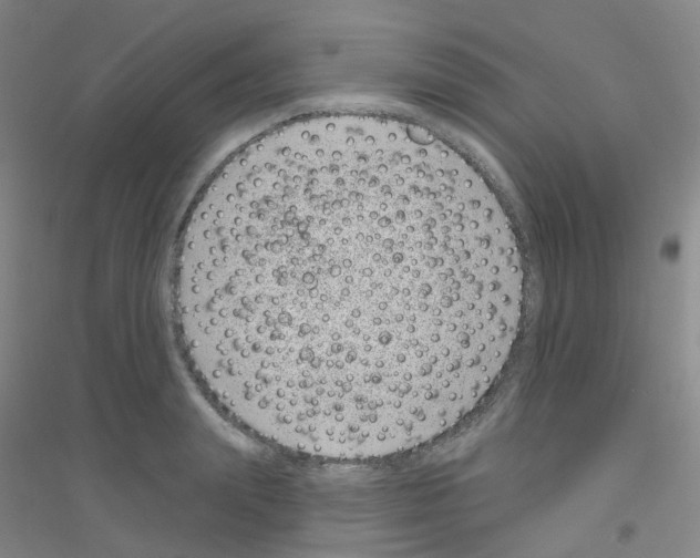 X0000116810847201001291559