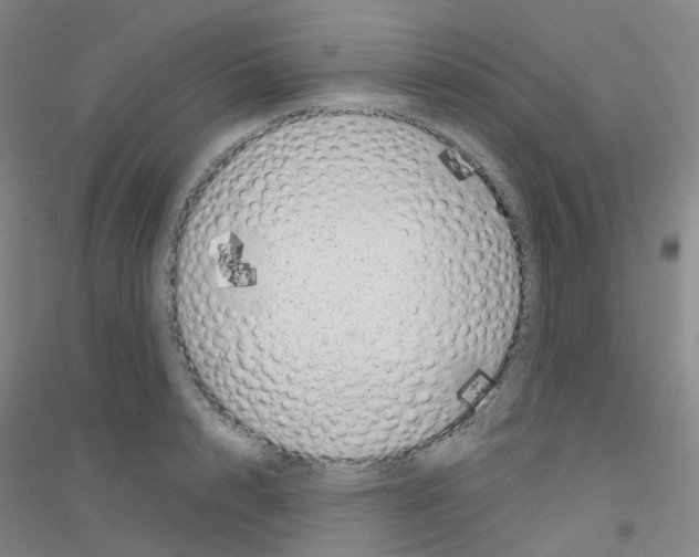 X0000116810848201001291559
