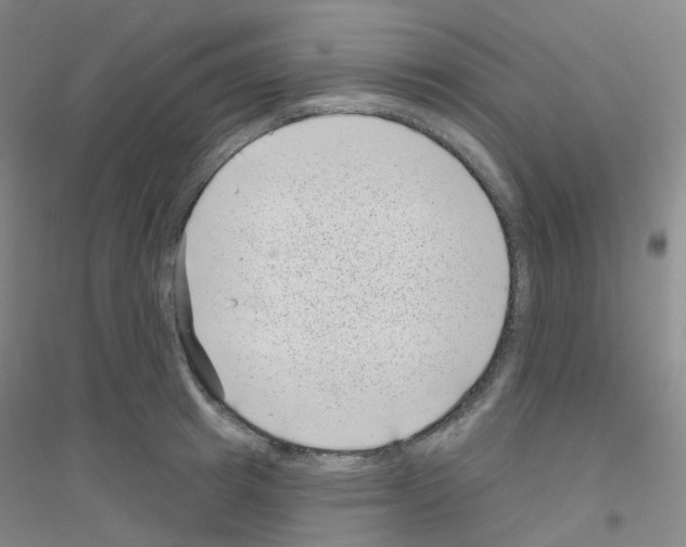 X0000116810849201001291600