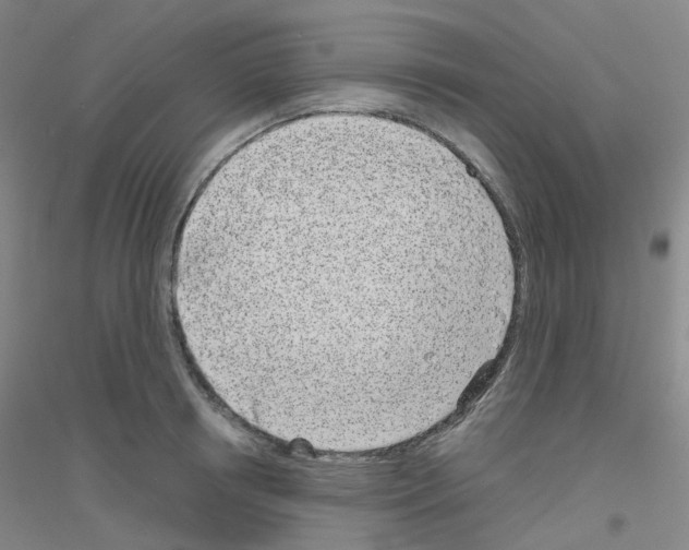 X0000116810850201001291600