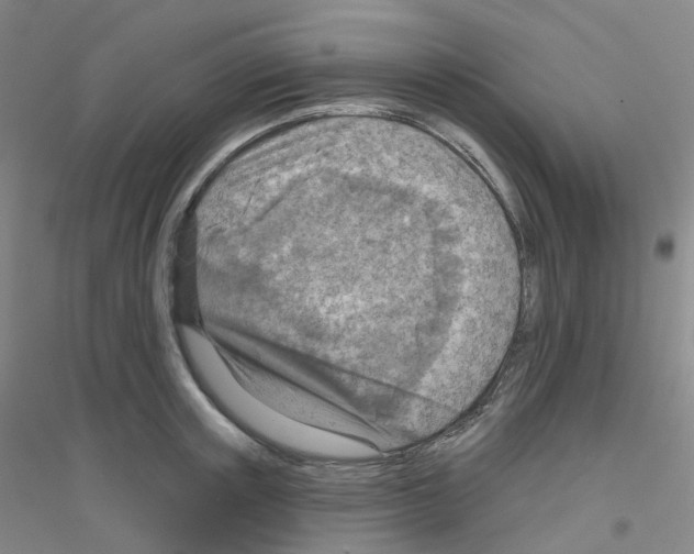 X0000116810851201001291600