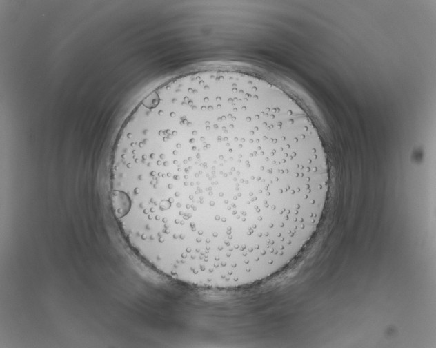 X0000116810852201001291600
