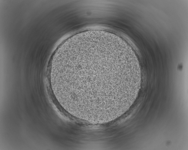 X0000116810853201001291600