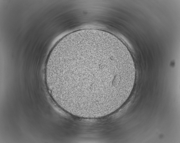 X0000116810854201001291600
