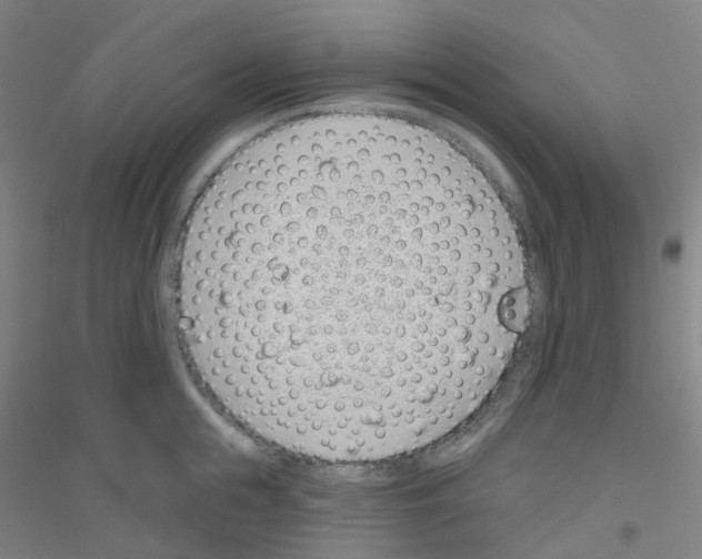 X0000116810855201001291600