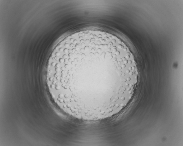 X0000116810858201001291600