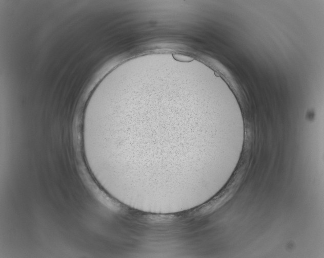 X0000116810859201001291600