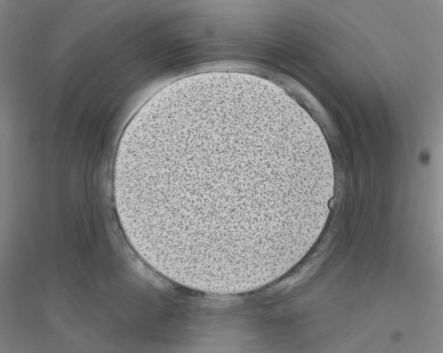 X0000116810860201001291600