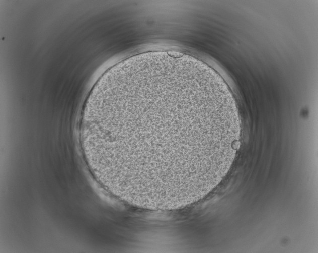 X0000116810861201001291600