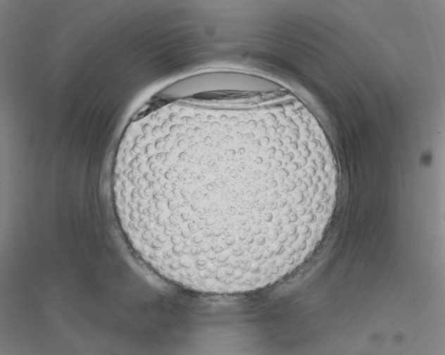 X0000116810862201001291600