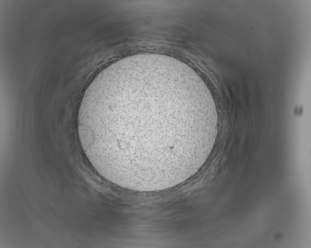 X0000116810865201001291559