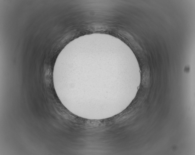 X0000116810866201001291559