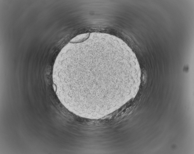 X0000116810867201001291559