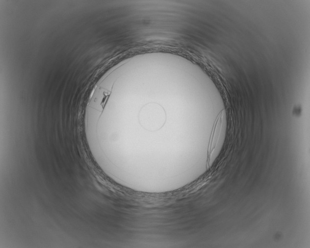 X0000116810868201001291559