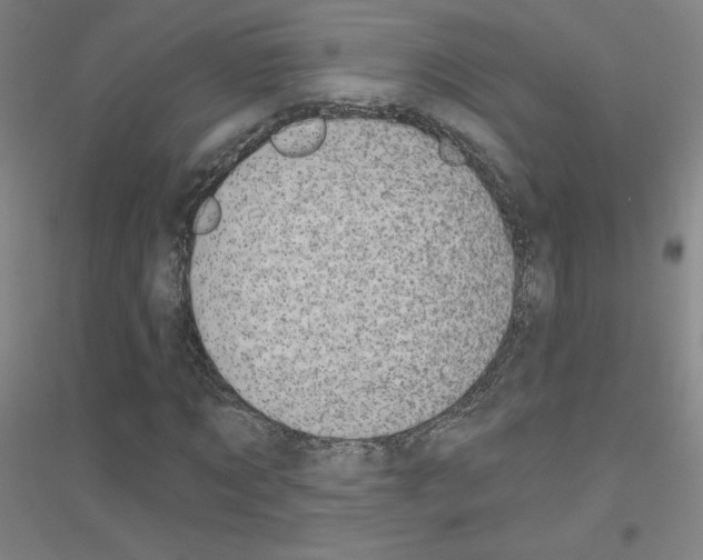 X0000116810869201001291559