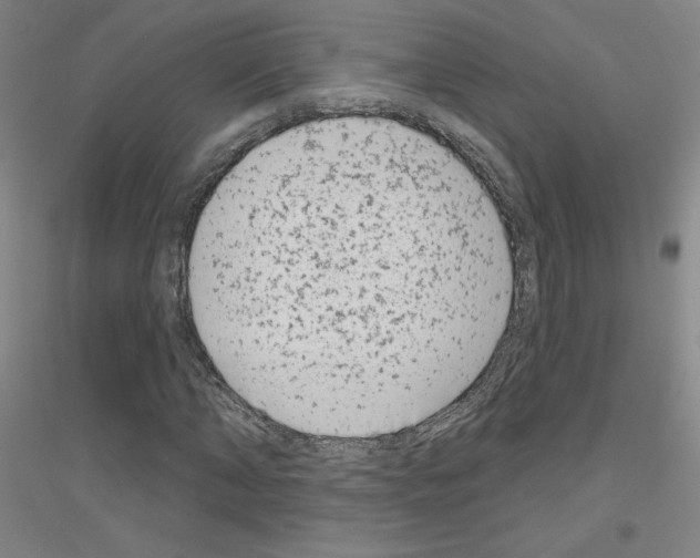 X0000116810870201001291559
