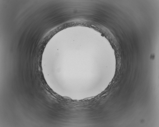 X0000116810872201001291559