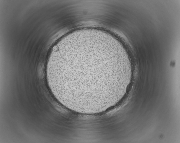 X0000116810873201001291559