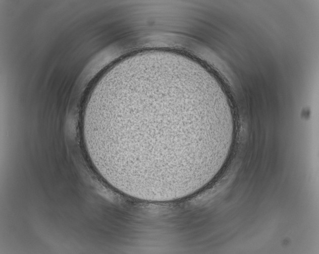 X0000116810874201001291559
