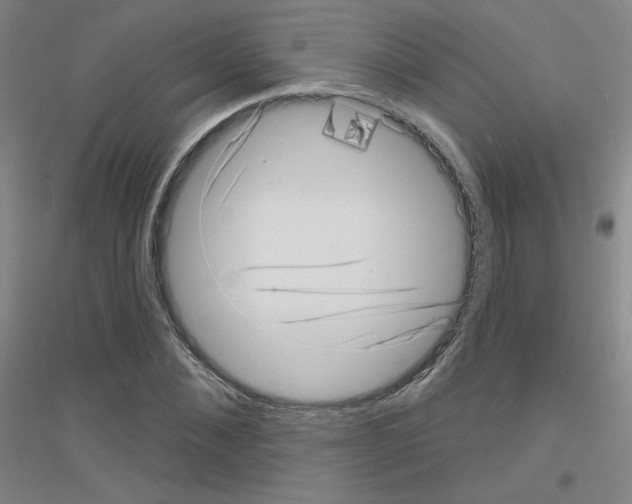 X0000116810876201001291559