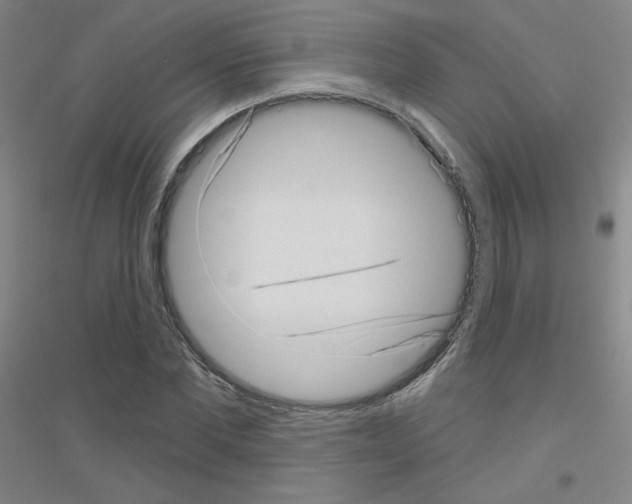 X0000116810877201001291559
