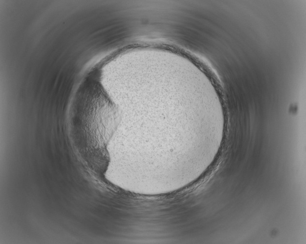 X0000116810879201001291559