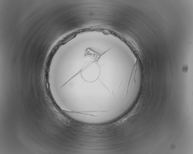 X0000116810880201001291559