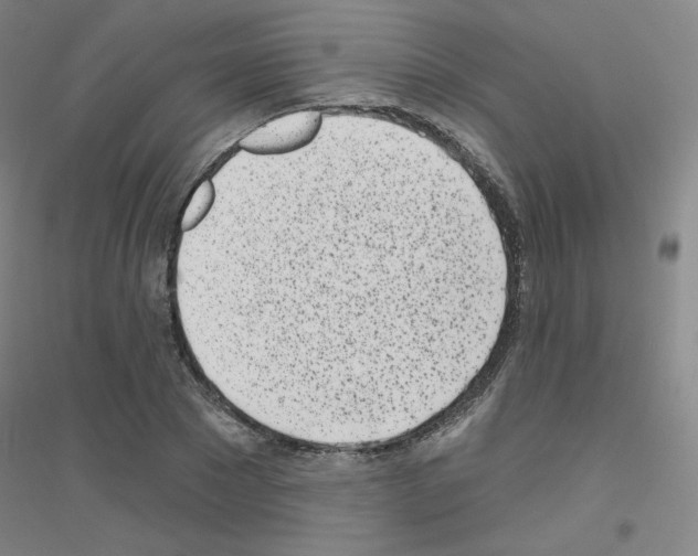 X0000116810881201001291559