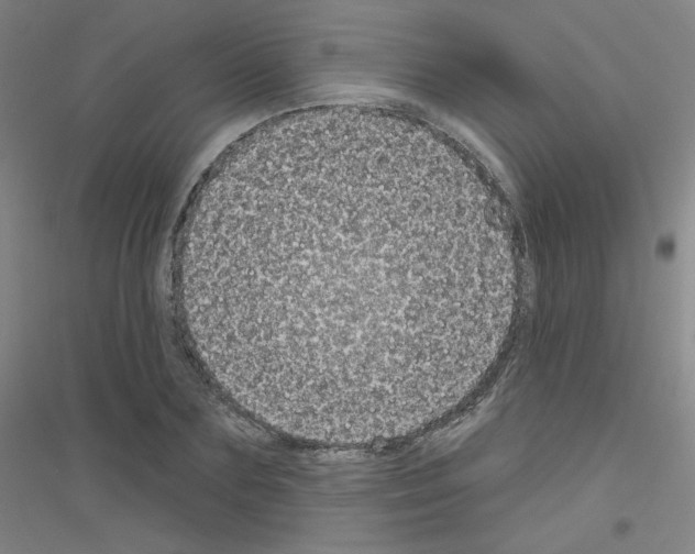 X0000116810883201001291559