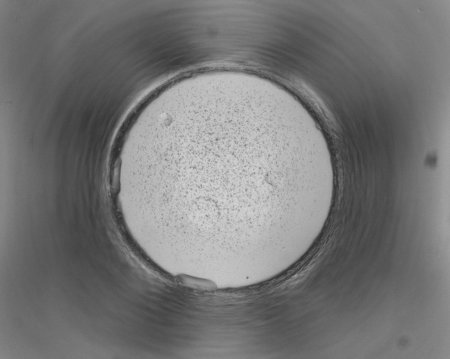 X0000116810884201001291559