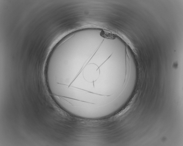 X0000116810885201001291559