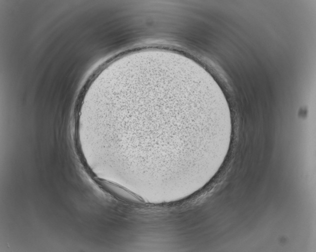 X0000116810888201001291559