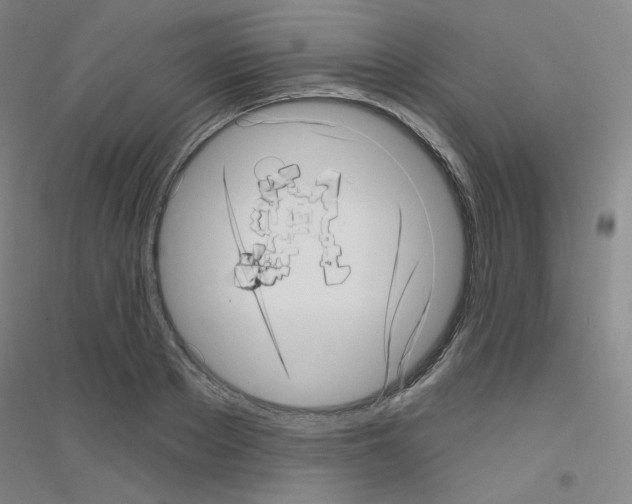 X0000116810889201001291559