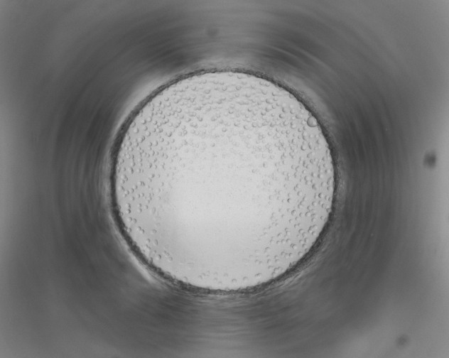 X0000116810894201001291559