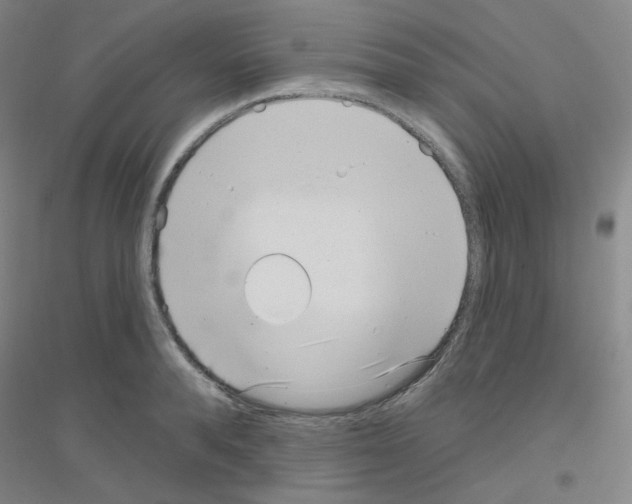 X0000116810896201001291559