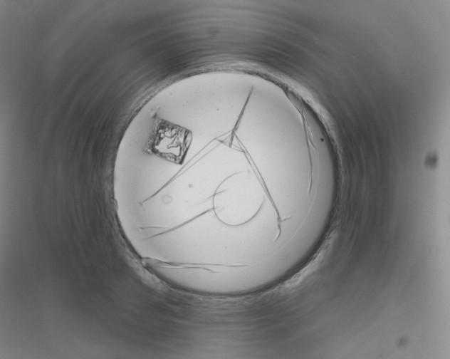 X0000116810897201001291559